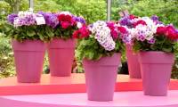 10 creative ideas to make flower pots from old plastic bottles