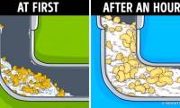 10 things absolutely should not be drained down the drain pipe