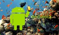 10 things to and should not do with Android devices