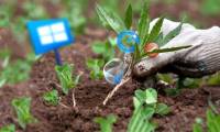 12 programs and Windows applications are not required you should uninstall