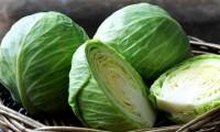 13 great uses of cabbage