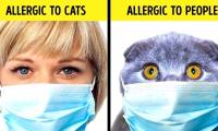 13 interesting facts in life not everyone knows