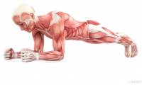 15 basic errors when exercising can be harmful to your health