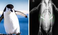 15 photos help you expand your knowledge