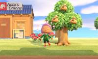 17 best Animal Crossing: New Horizons tips for Nintendo Switch