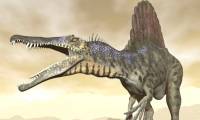 200 million year old dinosaur footprints are found in Africa