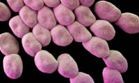 3 antibiotic resistant viruses have almost no drugs to treat