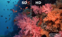 3 tips to improve low-resolution image quality