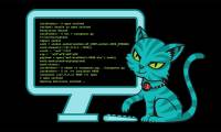 6 best laptop models for programmers