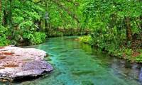 6 ideal natural tourist lakes in Florida