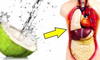 8 great things can happen to the body if drinking coconut water for 15 days