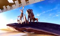 8K has not 'covered' Sony has launched a 16K-sized bus screen
