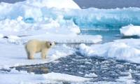 Acid in the Arctic Ocean increases rapidly with climate change