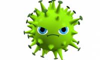 After A, B, and C, the influenza D strain is officially revealed