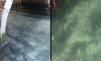 After only a few days of blockade, the canals in Venice became crystal clear.