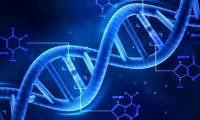 American Medicine discovered: Increasing the concentration of protein Soluble Klotho in the blood may help preserve kidney function