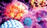 Announcing the method of 'hacking' cancer metastasis with Nano particles