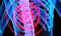 Anti-rejection drugs can reduce spinal cord injuries