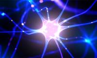 Artificial neurons have been able to communicate with biological neurons via the Internet