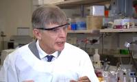 Australia: A professor claims to have discovered the 'cured' drug Covid-19