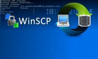 Automatically backup web server data with WinSCP via FTP