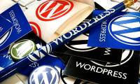 'Backdoor' plugin, WordPress 3.2 RC2 launches