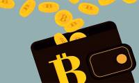 Bitcoin wallet: Things that the 'newcomers' need to know