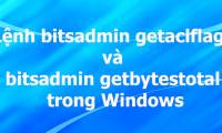 Bitsadmin command getaclflags and bitsadmin getbytestotal in Windows