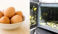 Boiling eggs with a microwave may explode, why?
