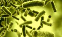 Botulinum poisoning, a dangerous disease that everyone can get if not careful