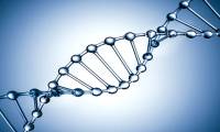 Bring 2 DNA in your body, which is expensive to pay for blood cancer