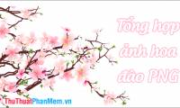 Collection of Peach Blossom PNG images