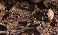 Collective graves with 90 bones were discovered in central Madrid