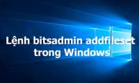 Command bitsadmin addfileset in Windows