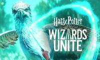 Configuration of playing Harry Potter Wizard Unite on the phone
