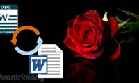 Convert OpenOffice ODT text format into Microsoft Word DOC