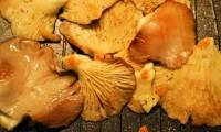 Cooking mushrooms with a microwave will keep more nutrients