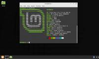 Create bootable USB with Linux Mint 19.3