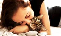 Cuddling with cats can cause brain swelling, heart infection