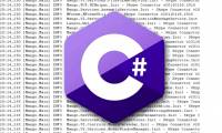 Data type in C #