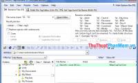 Delete Photo Album Music Files with Tag & Rename