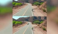 Delete unwanted objects in the video with just one click