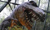 Dinosaurs have used colors to camouflage