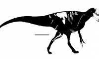 Discover new giant carnivorous dinosaurs, causing headaches for archaeologists