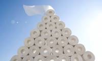 Discover the history and exciting production process of toilet paper