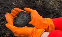 Discovered 'hidden bomb' in the soil: industrial chemicals have the ability to affect the immune system and fertility in humans