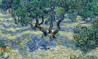 Discovering strange creatures that exist in Van Gogh's famous painting for over 120 years