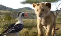 Disney CEO apologized after the incident that a primary school was fined for showing Lion King