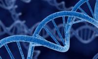 DNA information leaks are worse than leaking many credit card information