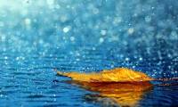 Do you know the rain that releases 800,000 trillion ground bacteria into the air